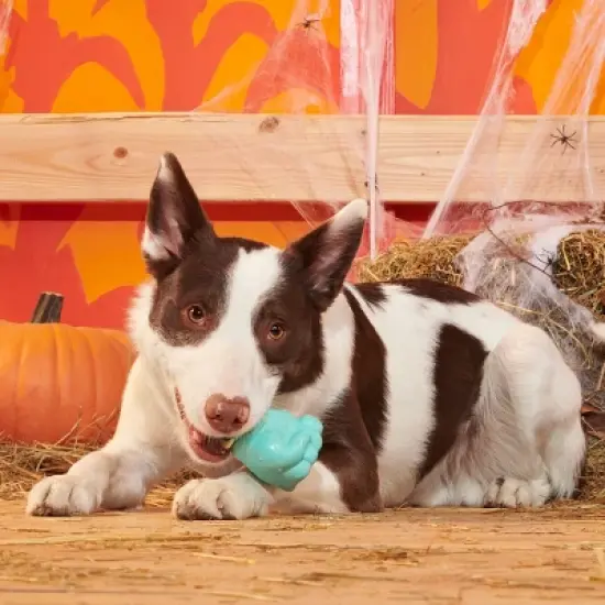 BARK Halloween Super Chewer Knock 'Em Dead Dog Toy image {2}