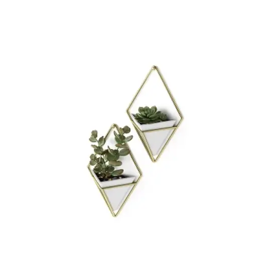 Set of 2 Trigg Wall Display Planters White/Brass - Umbra image {4}