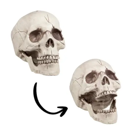 Boland Skull With Movable Jaw Halloween Decoration image {2}