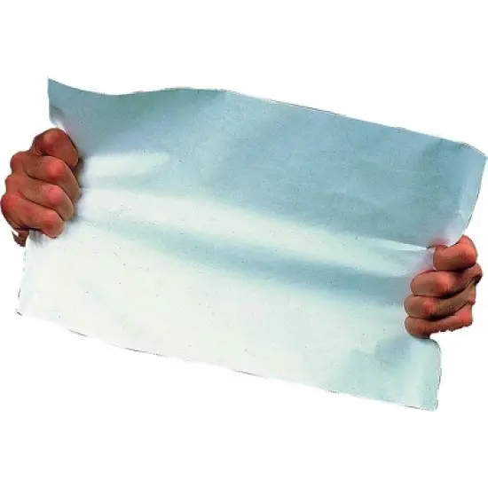Survivor Tyvek Mailer #55 6 x 9 White 100/Box R1320 image {2}