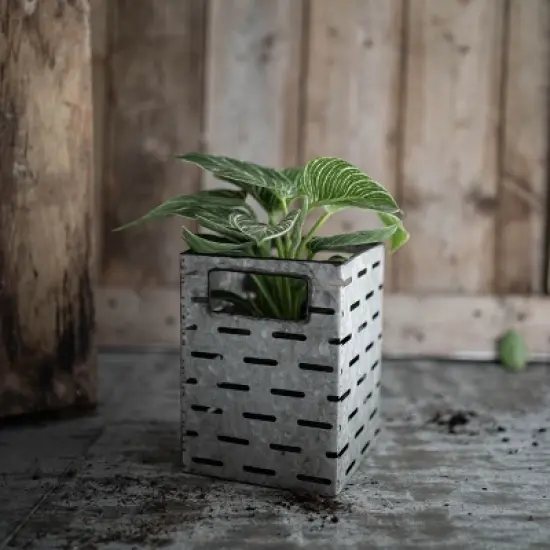 Flower Tin Galvanized Metal Planter - Foreside Home & Garden image {7}