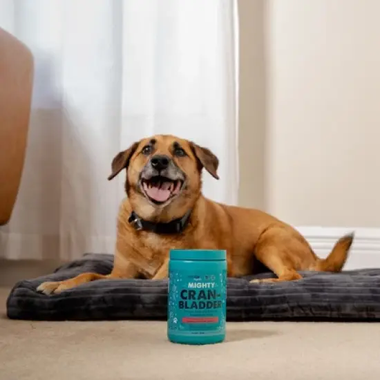 Mighty Paw Waggables Mighty Cran-Bladder | Dog Urinary Support Chews, 120 Ct image {1}
