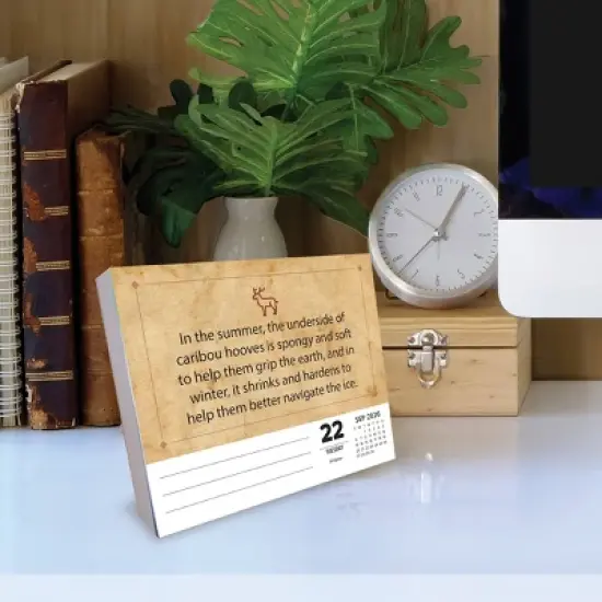 Willow Creek Press 2026 Awesome Animal Facts Box Calendar image {2}