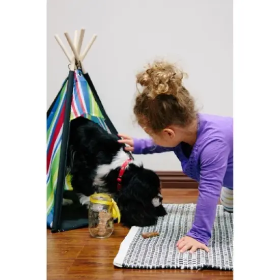 Cozy Pet Indoor Dog House image {7}