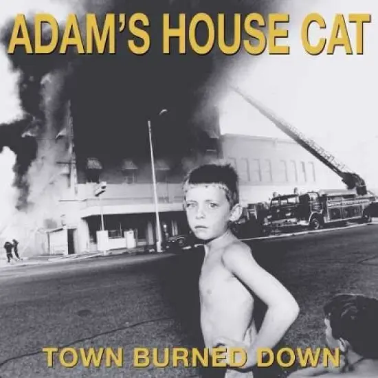 Adam's House Cat - Town Burned Down () (Vinyl) image {1}
