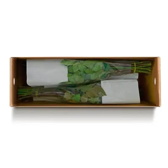 Fresh Cut Roses - 100 Stems image {8}