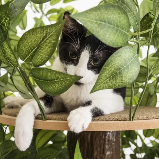 On2Pets Square Cat Tree - Medium - Green image {3}