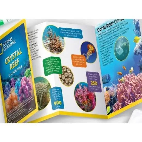 National Geographic Crystal Reef Science Kit image {5}