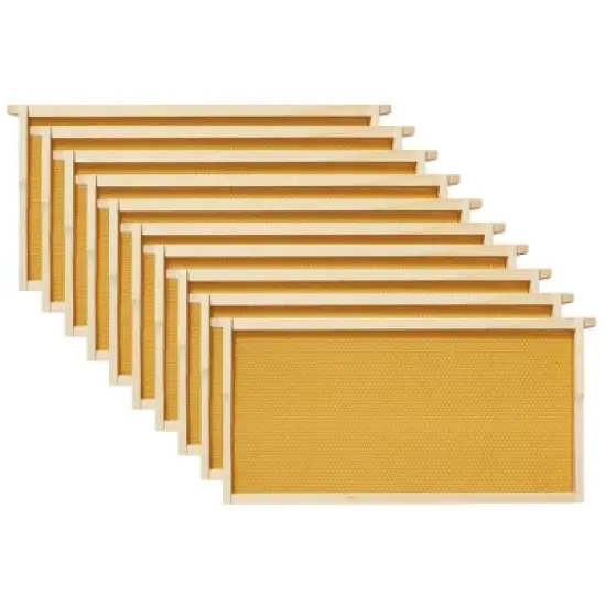 Honey Keeper Beginner Beehive Kit, Fully Assembled and Painted Starter Set with Hive Body & 10 Frames image {5}