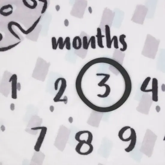 Disney Lion King Milestone Blanket image {3}