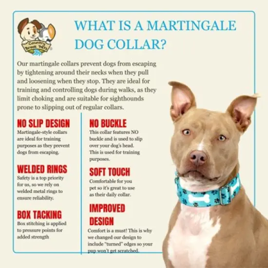 Country Brook Petz HossFit Jr Wide Martingale Dog Collar - Dog's Life Collection image {4}