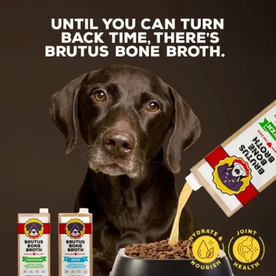 Brutus Bone Broth Hip & Joint Formula Wet Dog Food - Supplement - Chicken - 32oz image {4}