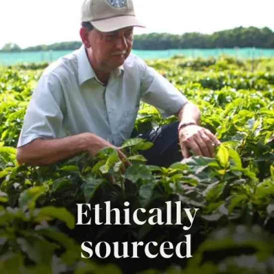 Starbucks Pumpkin Spice Flavored Light Roast Keurig K-Cup Coffee Pods - 22ct image {7}