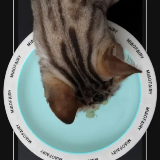 FairyLand&trade; - Elevated Ceramic Pet Bowl &ndash; Black & White Chess Design, Anti-Slip, Ergonomic Raised Feeder (6.9" Wide, 5.2" Tall) image {4}