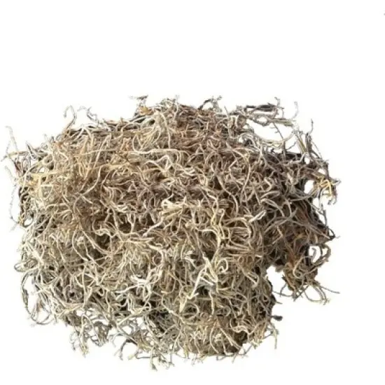Mosser Spanish Decorative Moss, 250-Cubic Inch image {1}