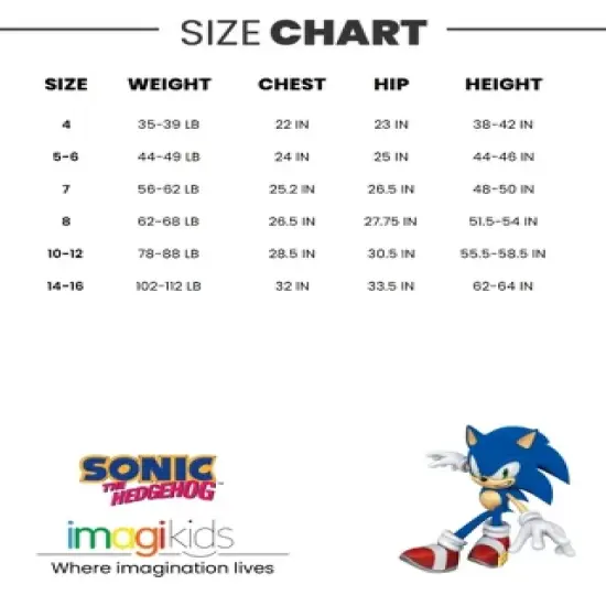 SEGA  Sonic The Hedgehog     Swim Trunks Bathing Suit Little Kid to Big Kid image {6}