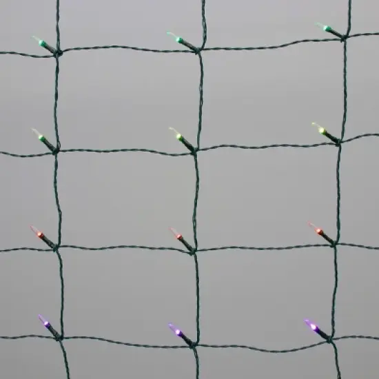 100ct LED Philips ChromaBright App Controlled Indoor/Outdoor Net Lights Multi-Colored with Green Wire image {6}