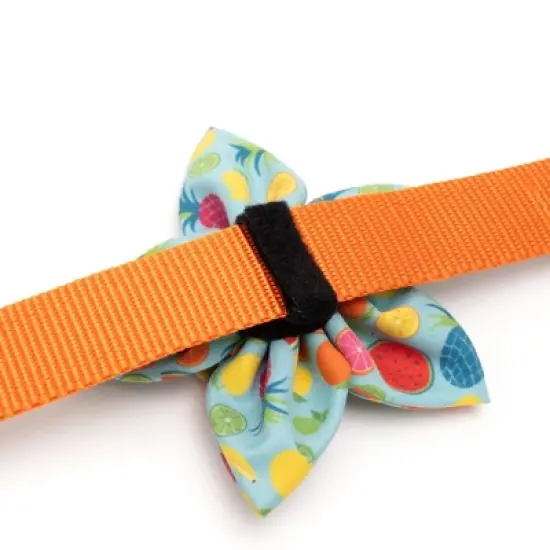 The Worthy Dog Tutti Frutti Adjustable Flower Accessory image {1}