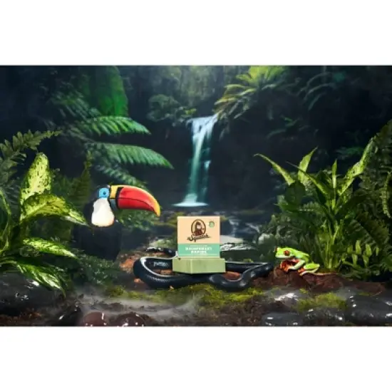 DR. SQUATCH Men's All Natural Bar Soap - Rainforest Rapids - 5oz image {8}