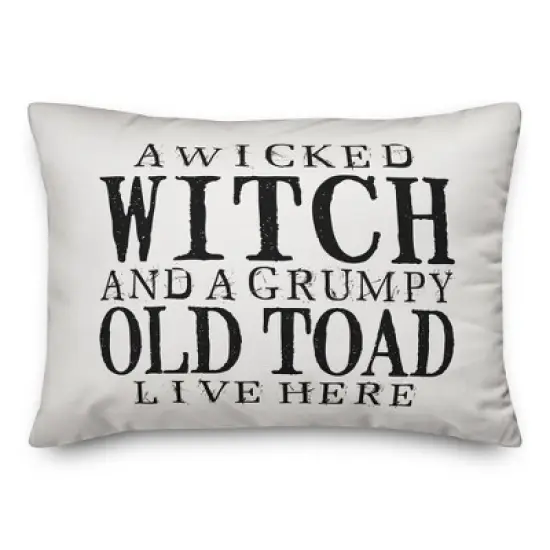 Creative Products A Wicked Witch and Grumpy Toad 14x20 Indoor / Outdoor Pillow image {2}