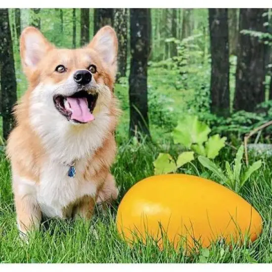 Jolly Pets Egg Dog Toy image {3}