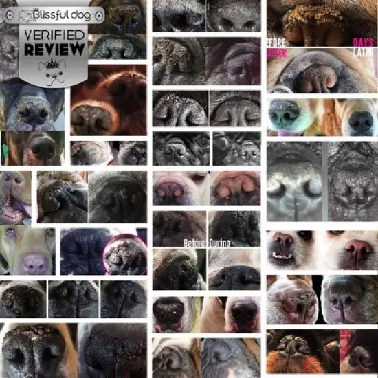 The Blissful Dog Nose Butter image {4}