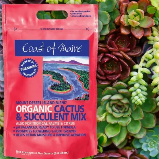 Coast of Maine Indoor Outdoor Mount Desert Island Blend Organic Cactus and Succulent Potting Soil Mix with Beneficial Nutrients, 8 Quart Bag (2 Pack) image {2}