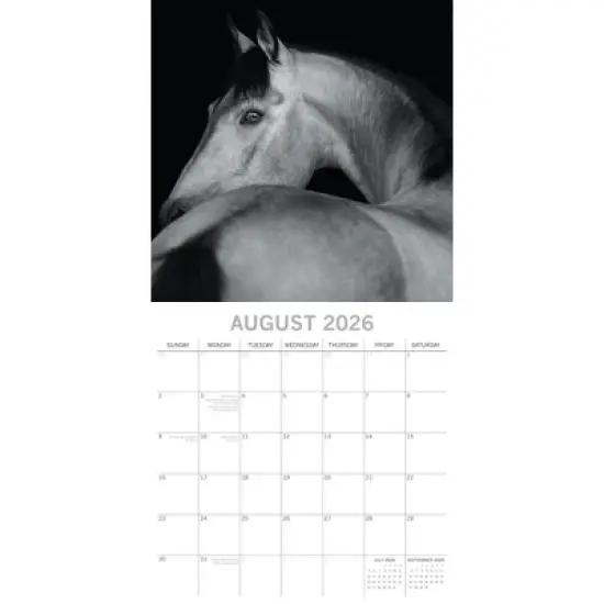 2026 Square Wall Calendar, Horse Portraits, 16-Month Black and White Photos Theme with 180 Reminder Stickers (12x12 In) image {2}