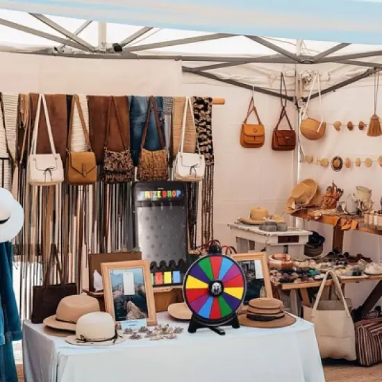 WinSpin Mini Tabletop Prize Drop Board & 12" Prize Wheel Kit Fortune Game Eagle image {1}