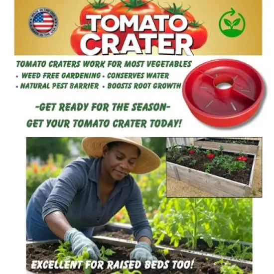Tomato Crater Vegetable Garden Watering Tray &ndash; Directs Water to Roots, Warms Soil, Reduces Pests, Improves Growth, BPA-Free image {1}