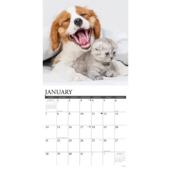 Willow Creek Press 2024 Wall Calendar 12"x12" Kittens & Puppies image {2}