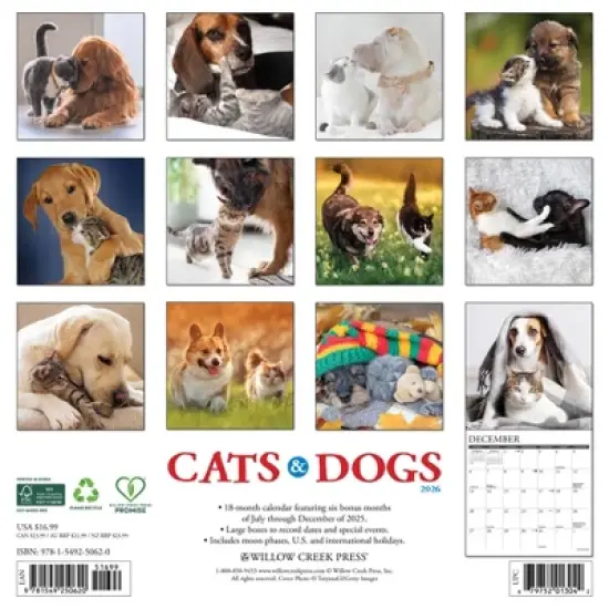 Willow Creek Press 2026 Cats and Dogs Wall Calendar image {1}