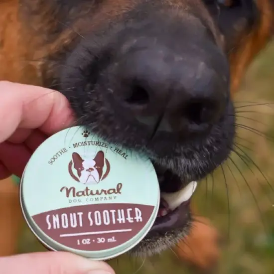 Natural Dog Company Snout Soother Tin - 1oz image {5}