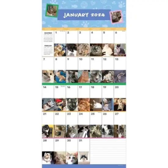 TF Publishing 2024 Wall Calendar 12"x12" Cat-A-Day image {1}