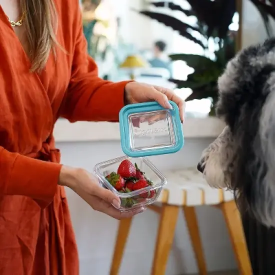 Bormioli Rocco Frigoverre Future 14.25 oz. Square Food Storage Container, Made From Durable Glass, Dishwasher Safe, Made In Italy,Clear/Teal Lid image {3}