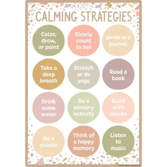 Teacher Created Resources&reg; Terrazzo Tones Positive Practices Small Poster Pack, Pack of 12 image {1}