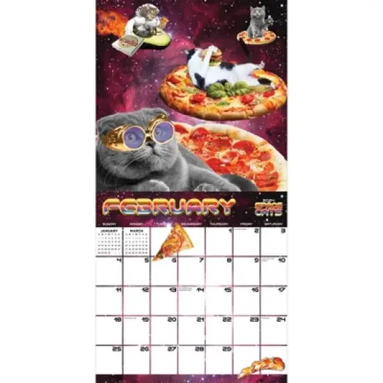 TF Publishing 2024 Wall Calendar 12"x12" Space Cats image {1}