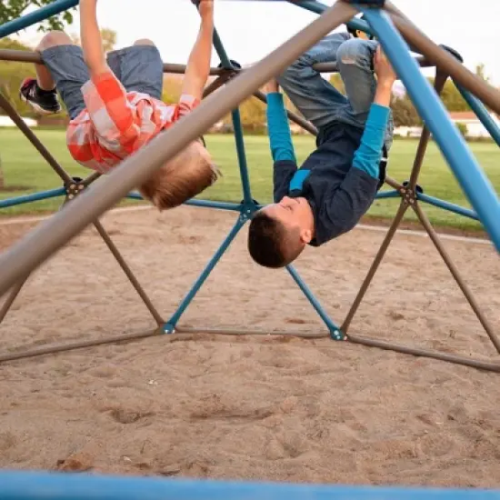 Lifetime 54" Climbing Dome, Blue and Brown (90939) image {7}