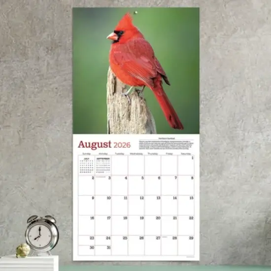 TF Publishing 13.5"x14.5" 2026 Backyard Birds Wall Calendar image {2}