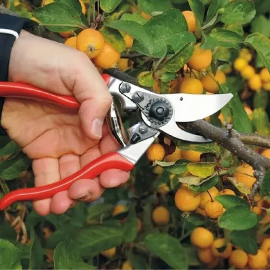 Felco 9 Ergonomic Left-Handed Bypass Pruner, 1" Cut Capacity, 8.25" image {2}