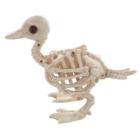Seasons USA Duck Skeleton Prop Halloween Decoration -  - Off-White image {2}
