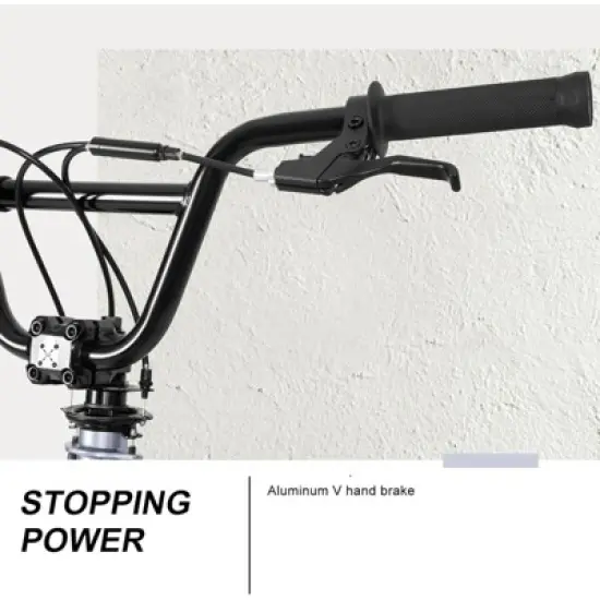 Hykolity 20-Inch Freestyle BMX Bike, Kids Teens Adults, Carbon Steel Frame, Black/Silver, Ideal for Beginner to Advanced Riders image {7}