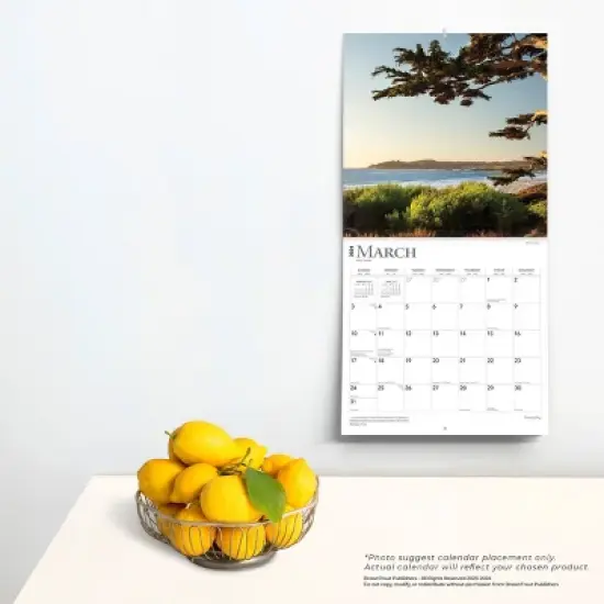 Browntrout 2024 Wall Calendar 12"x12" Tranquility image {3}