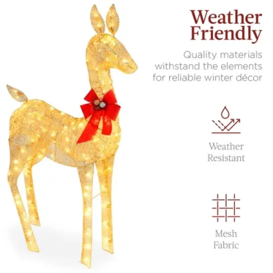 Best Choice Products 2-Piece Lighted Christmas Deer Set Outdoor Yard Decoration with 210 LED Lights, Stakes image {4}
