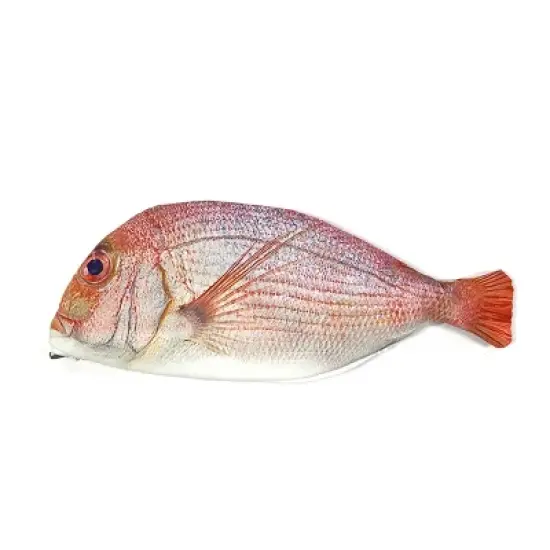 Wrapables Novelty Fish Style Pencil Case, Red image {3}