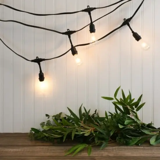LumaBase Electric Commercial-Grade String Lights with 12 Edison Bulbs image {1}