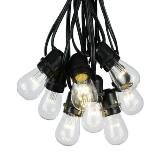 Novelty Lights Edison Outdoor String Lights with 25 In-Line Sockets Black Wire 37.5 Feet image {7}
