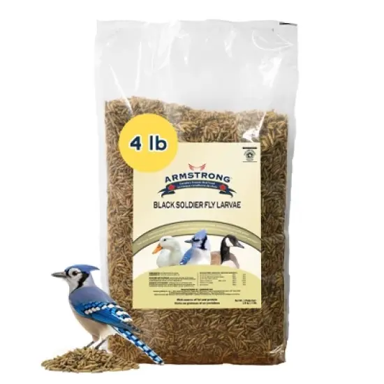 Armstrong Wild Bird Food Black Soldier Fly Larvae, 4lbs image {5}