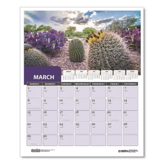 House of Doolittle Recycled Succulent and Cacti Wall Calendar 12-Month January 2026 to December 2026 Multicolor Sheets 14 x 11 image {3}