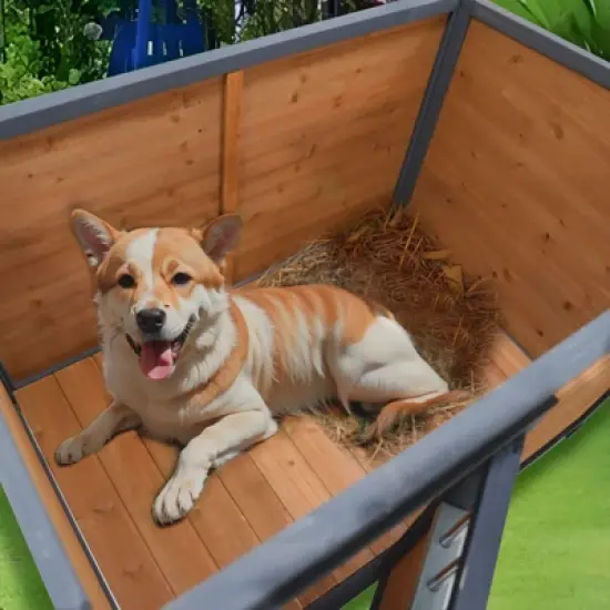 Gulches 45"large solid wood dog house, waterproof PVC plastic roof, breathable wooden doors image {2}